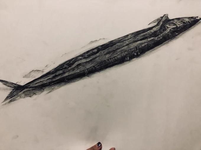 発掘した作品群 1.魚の細密デッサン(ヘタクソ) 2.湿度計が埋め込まれたオブジェ(かわいい) 3.ドローイング(意味がわからない) 4.ドローイング(本当に意味がわからない、記憶がない、怖い) 