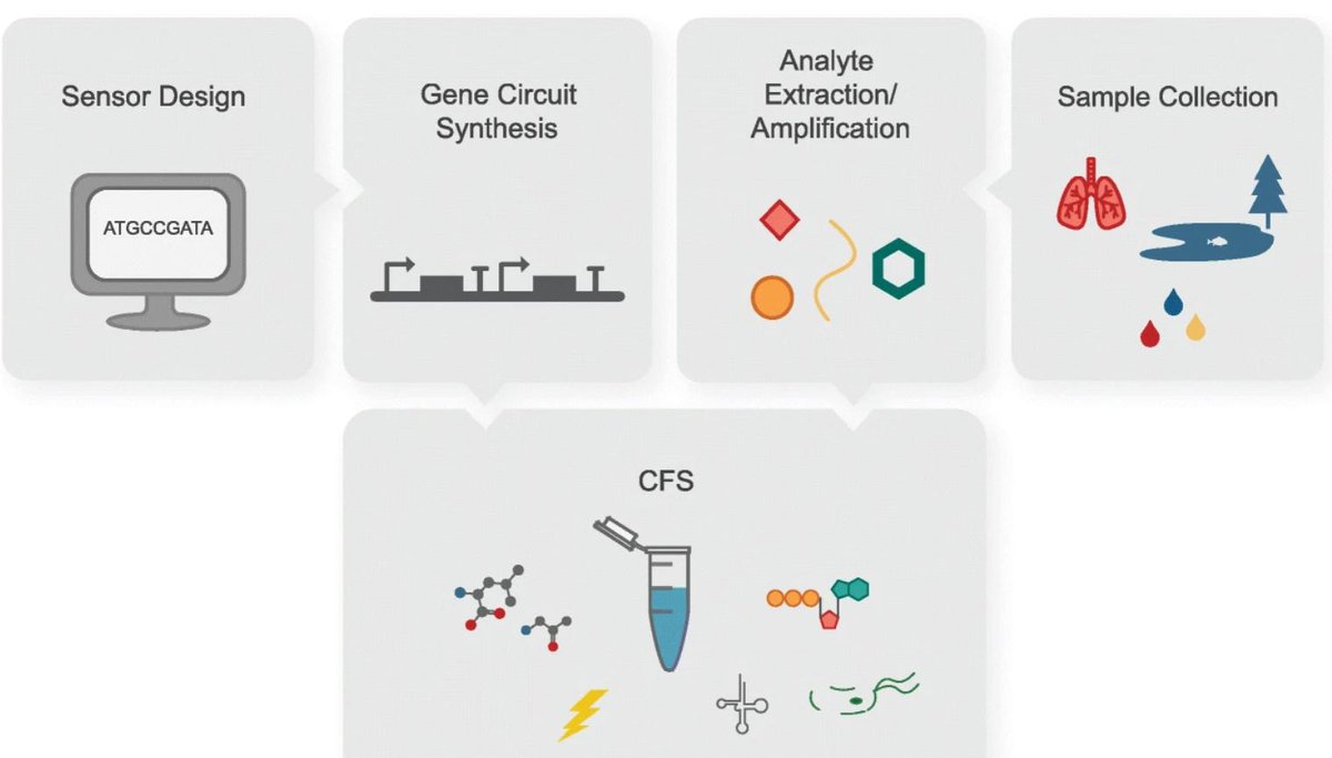 Coupling cell-free systems with #synthetic biology advanced the development of #biosensors, manufacture of #therapeutics and design of biological systems for other diverse applications. Read the #openaccess Review article by Keith Pardee and colleagues at bmcbiol.biomedcentral.com/articles/10.11…