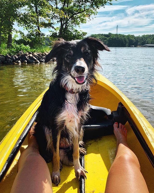Just spent a very fun weekend at the lake. Full days of kayaking, jet skiing, wake boarding, playing volleyball, &amp; my new favorite game @spikeball. I’m disappointed that I didn’t take a single picture of our group of 13 friends, but of course I do have a… ift.tt/33slMm2