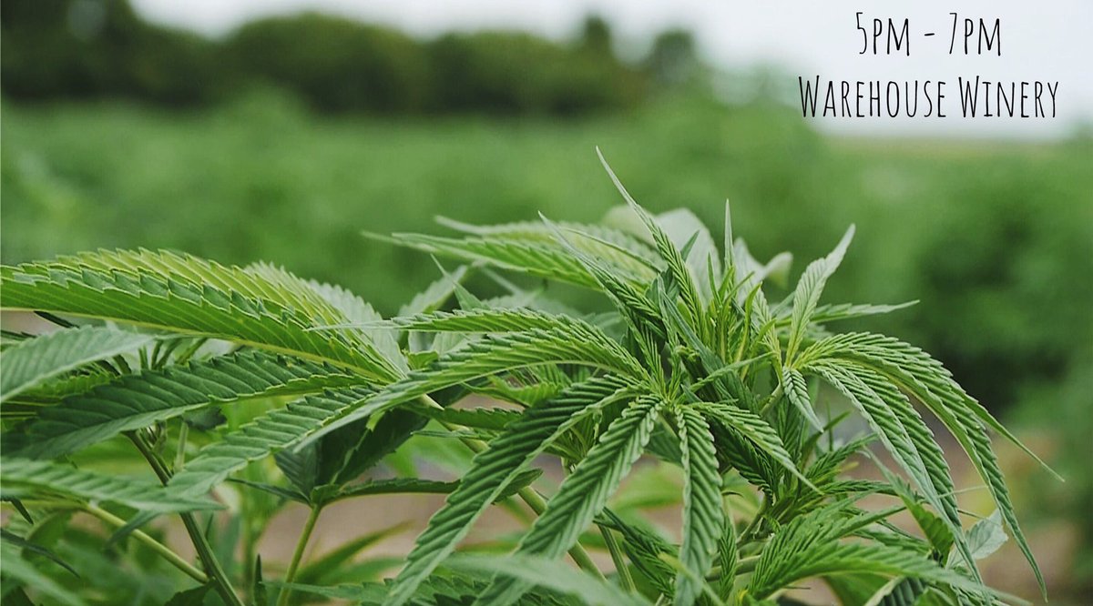 CleanGreenHemp's tweet photo. Who’s excited for the #MNHempAssociation bbq tonight?

#hempmn #hempyeah
#mnhemp #mnisready https://t.co/czAN7z3PIr