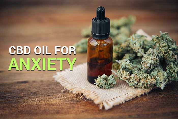 LeafPotionChef's tweet photo. #Reduced Risk of #Diabetes and #Obesity Better #Cholesterol Profiles and #LoweredRisk of #Cardiovascular #Disease #ReducedRiskofCancer #Helps #MaintainBrain Health and Create #Resilience to #Trauma and #Degeneration Protects against #BoneDisease and #BrokenBones https://t.co/8rNB3csjZ0