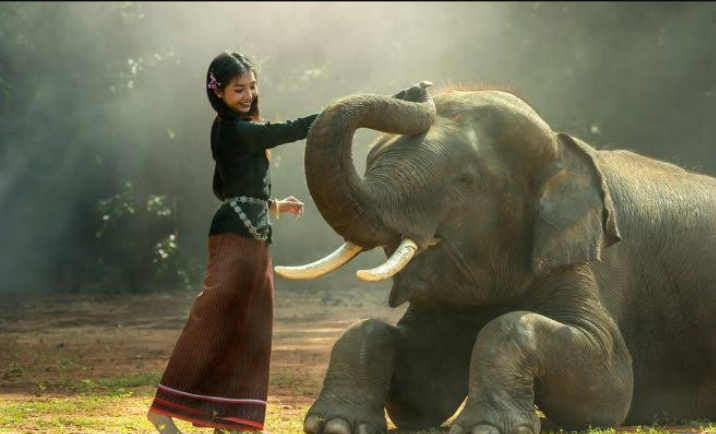 If we just make animals are friends and not use them like we don't use our friends. #HaathiMeraSaathi #WorldElephantDay
