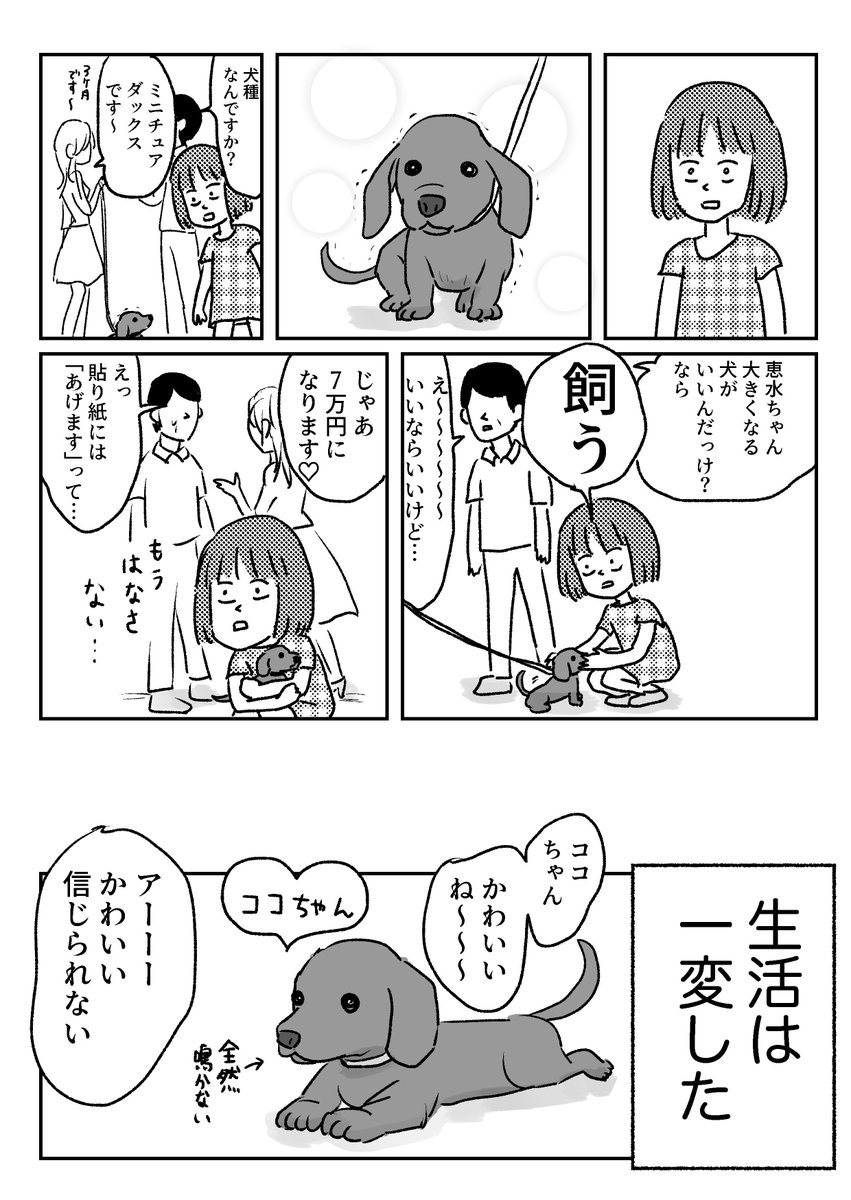 犬が家にやってきた時の話 
おまけはブログに→
小学生の時の話です、今ゴールデン乗ったら犬が圧死する… 