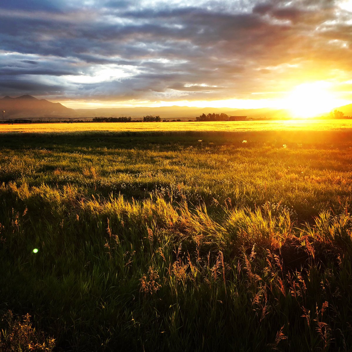 Tim2Olson's tweet image. I’ve been disappointed with the days getting shorter already but if I didn’t start my bike ride in the dark, I wouldn’t have been able to watch the sun rise over the mountains! 🚴‍♂️☀️⛰#tritraining