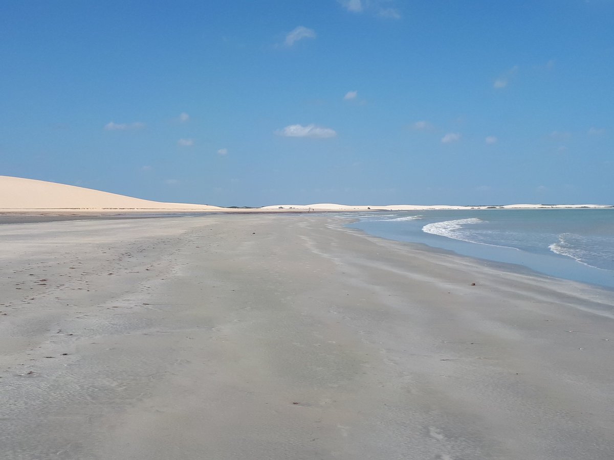 Simona_Ti's tweet photo. Vastità..💙🏖🇧🇷
#tourism #travel #beach #sea
#Jericocoara #Brazil https://t.co/vVvXxlnufW
