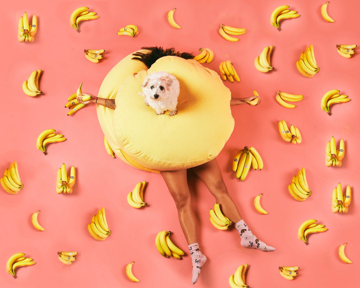 Summerhall tweet media