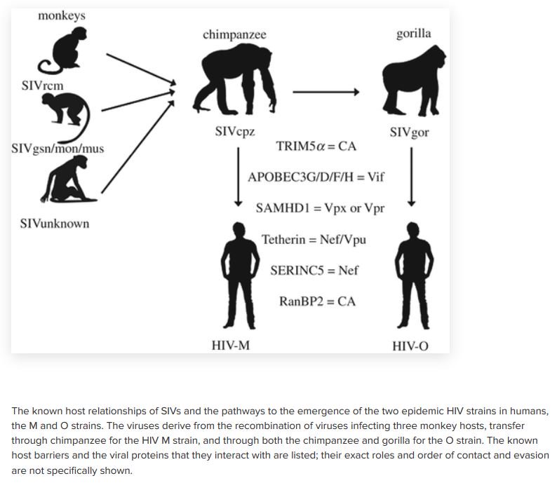 greg_folkers's tweet image. Philosophical Transactions B:  Onward transmission of #viruses: how do viruses emerge to cause epidemics after #spillover? bit.ly/2yQNOtr