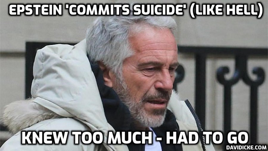 David Icke tweet media