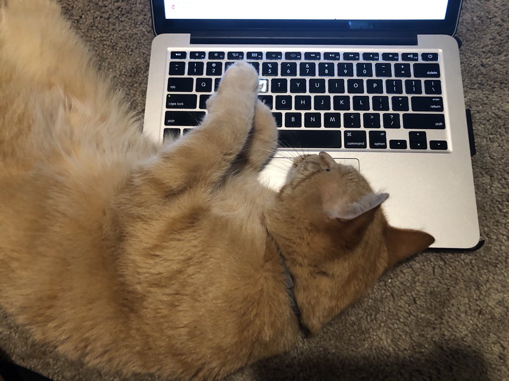 jess tyler tweet media