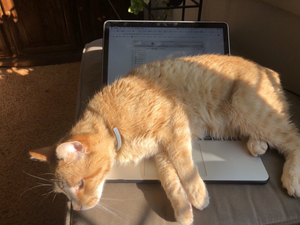 jess tyler tweet media