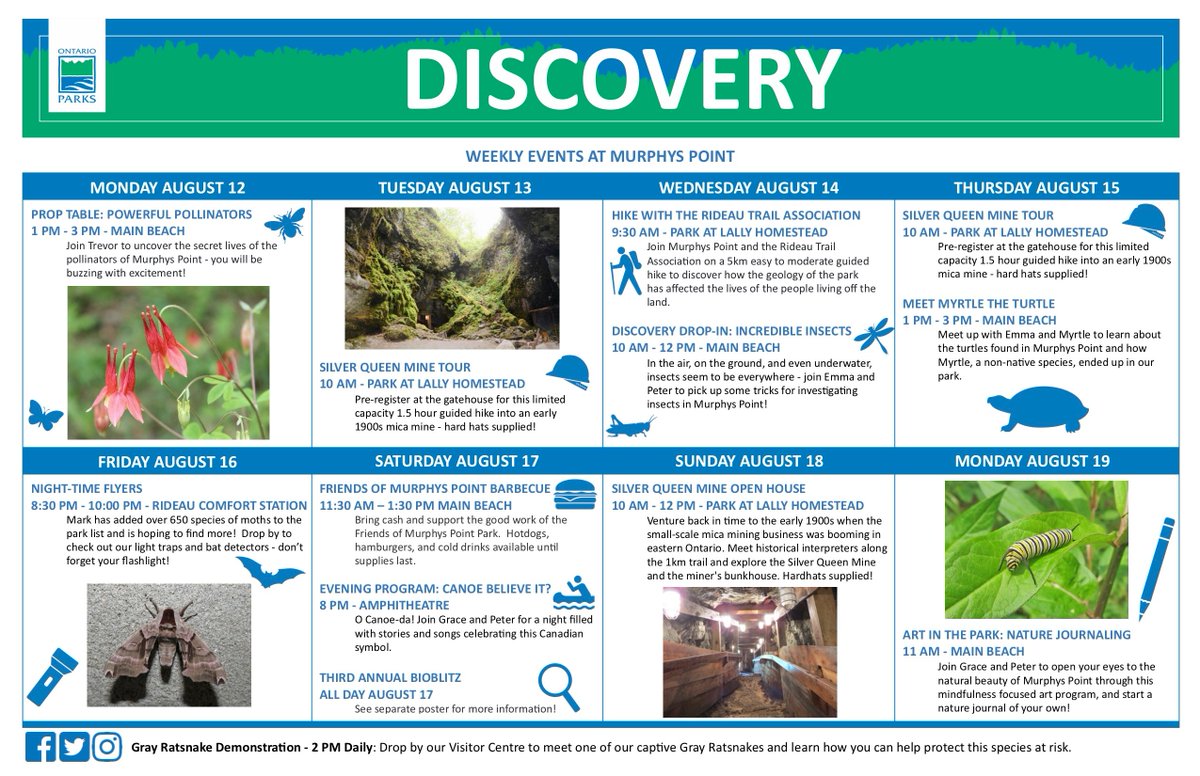 MurphysPointPP's tweet photo. Our 3rd Annual BioBlitz and much more is happening this week at #MurphysPoint βοΈππ₯Ύ https://t.co/Ca5Q7rCNeh