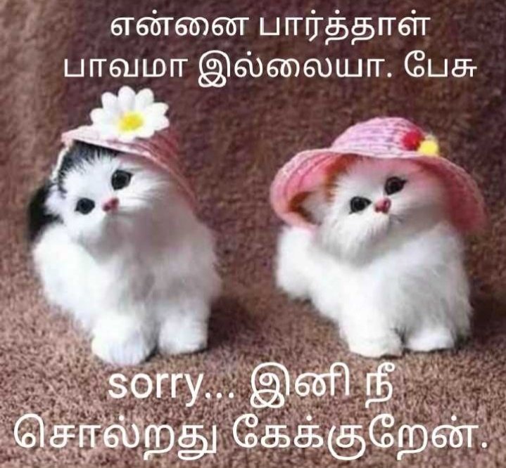 9585Selvi's tweet photo. Good night https://t.co/xuAtelWH0j