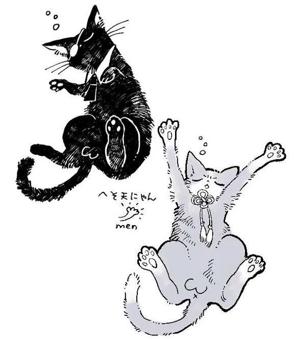 へそ天にゃーーん🐈 