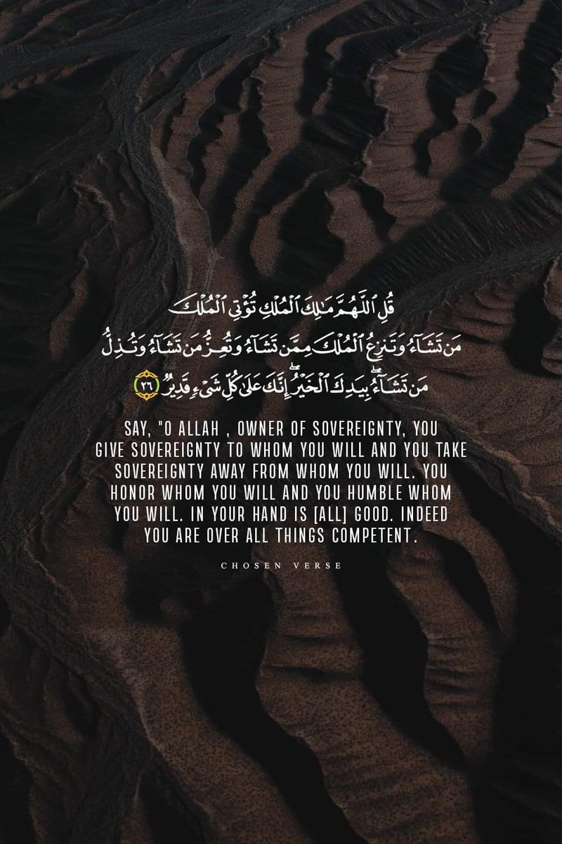 المصحف الجامع tweet media