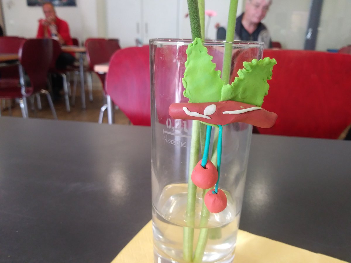 Bei uns wird diese Woche im Café Augenblicke geknetet. Die ersten Ergebnisse unserer Gäste sind schon zu sehen 😀