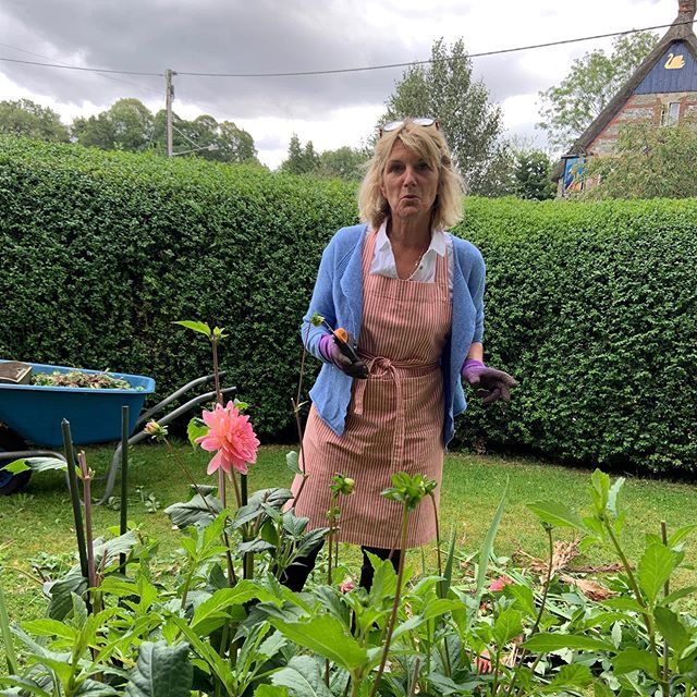 buckleaze's tweet photo. Daliah recovery day as they have all been bashed in the wind. 💨🙄Bit chilly so wearing my easy to go cardigan #gardening #knitwear #busymonday https://t.co/xTTyJpyb10 https://t.co/2N6eKhhAwX