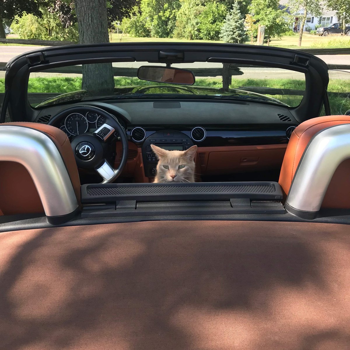 CampbellsOrchar's tweet photo. Making himself at home in Debbie’s new ride. 😻🤦‍♀️ #sorry #buthescute https://t.co/Jfb9IgzbLi
