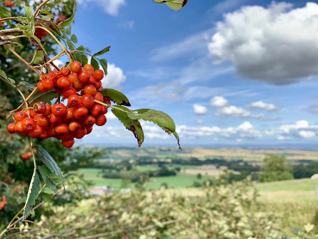 Berry nice views of the Yorkshire Dales. Much appreciated by the BBC Network Northern Bureau today
