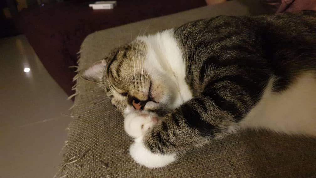 Lorence Khoo tweet media