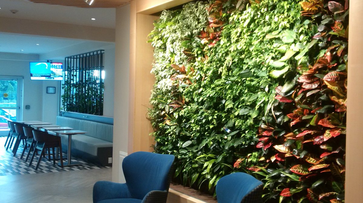 Nedlaw Living Walls tweet media