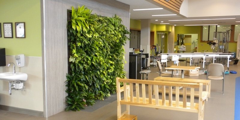 Nedlaw Living Walls tweet media