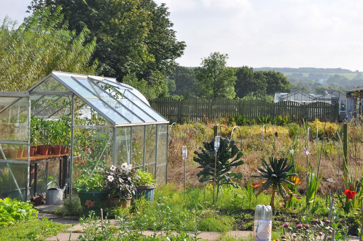 Do you enjoy #gardening? We are looking for green fingered #volunteers who can help at our Plant Centre in #Preston. Please follow the link for more info bit.ly/FDCICvolVAC) bit.ly/FDCICvolVAC Please RT. <a href="/OurLancashire/">Our Lancashire</a> <a href="/OurPreston/">Our Preston</a> @UCLan #TimeWellSpent #makeadifference