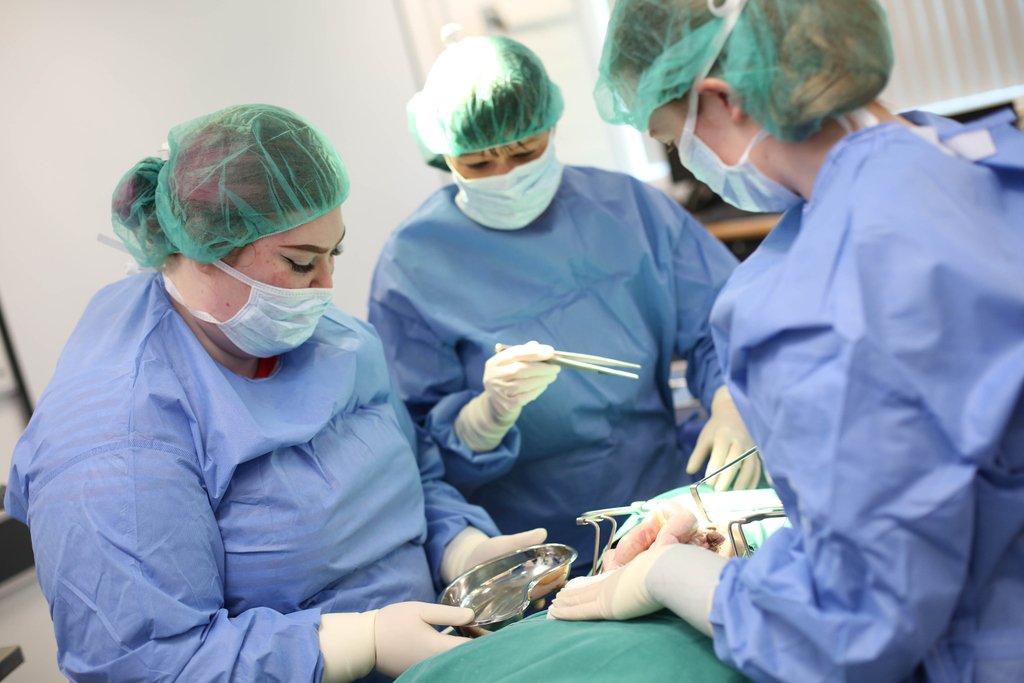 ODPCareers's tweet photo. When you study our Operating Department Practice course, you’ll spend more than half your time on placements, learning the role in the environment you’ll be working in post-University. 

Find out about our varied, exciting and hands-on university course https://t.co/P2dfmNFsXo https://t.co/3opjLuVOQS