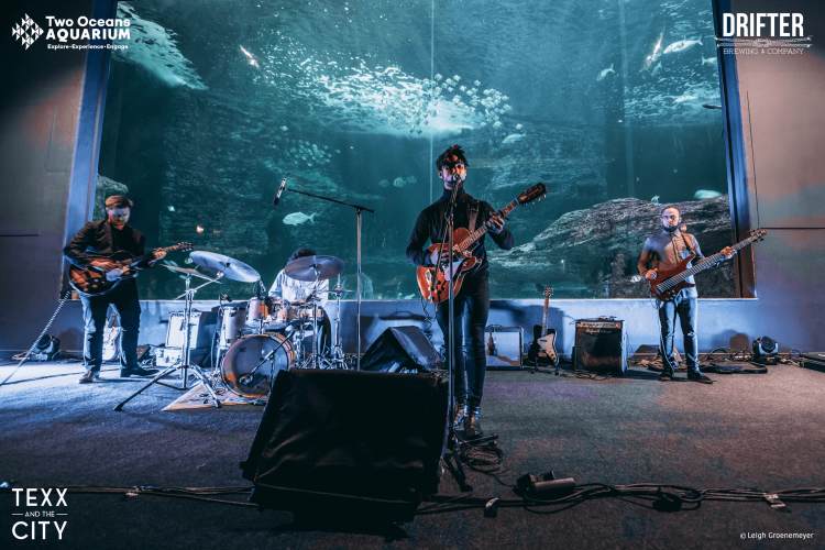 2OceansAquarium's tweet photo. Thanks for another rockin' #AfterDark19 @texxandthecity, @MannyWalters, #Luhra, and @DrifterBrewing! 🎸🐠🎙️
If you missed it, be sure to check out the amazing photos: https://t.co/zgHfTl587c https://t.co/AWWsOxg8PW