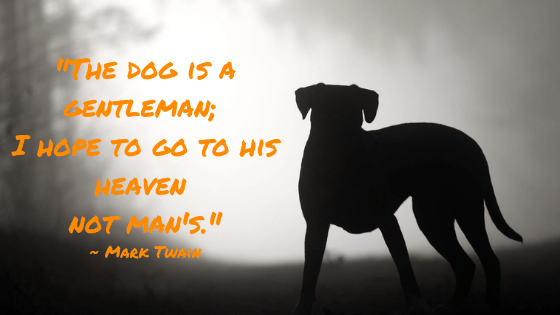 TheBLPblog's tweet photo. Dogs are loyal, noble, & courageous! Perhaps, that's why people erect statues around the world in their honor. Discover 20 famous dog statues around the world to add to your bucket list! #DogStatue #FamousDogs #DogMonuments https://t.co/WwxSJIOi0w https://t.co/KYBwbzlMQ9
