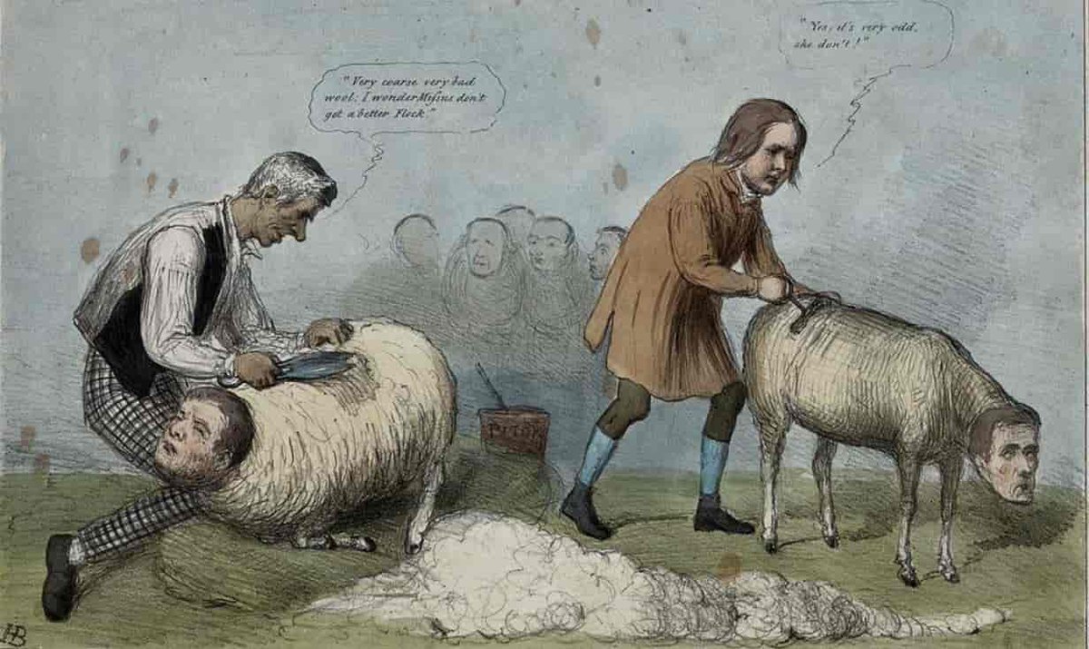 Koyun, Keçi ve İnek gibi Hayvanlara Temas Yoluyla Bulaşabilecek Hastalıklar

caresivar.org/kurbanlik-koyu…

#KURBANBAYRAMI #şarbon #KurbanBayramı #pazartesi #saglik #sağlık #saglikliyasam