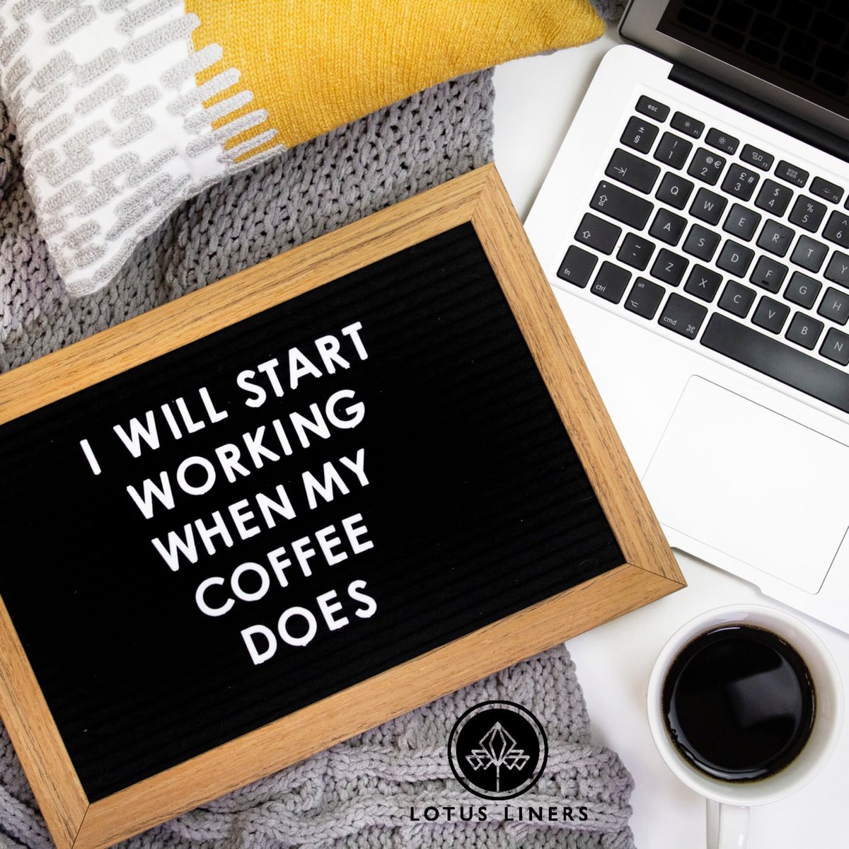 Lotus Liners tweet media