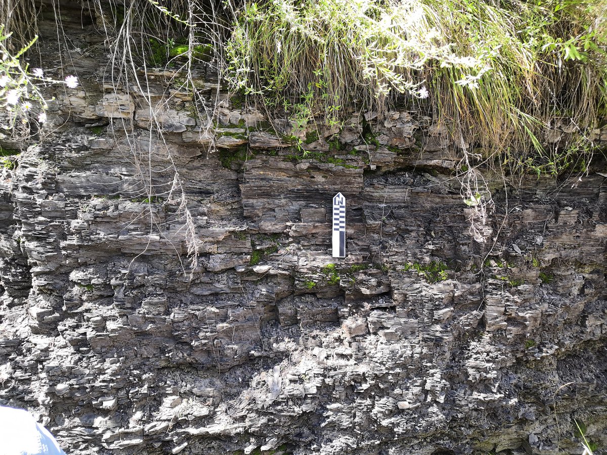 guibozetti's tweet photo. First day at Ordos Basin, China, looking at the deep-water deposits of the Yanchang fm. Starting from the best source rock in China. https://t.co/TDPuVXKAMK