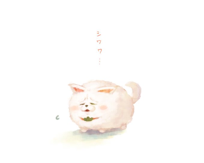 ヘソの 