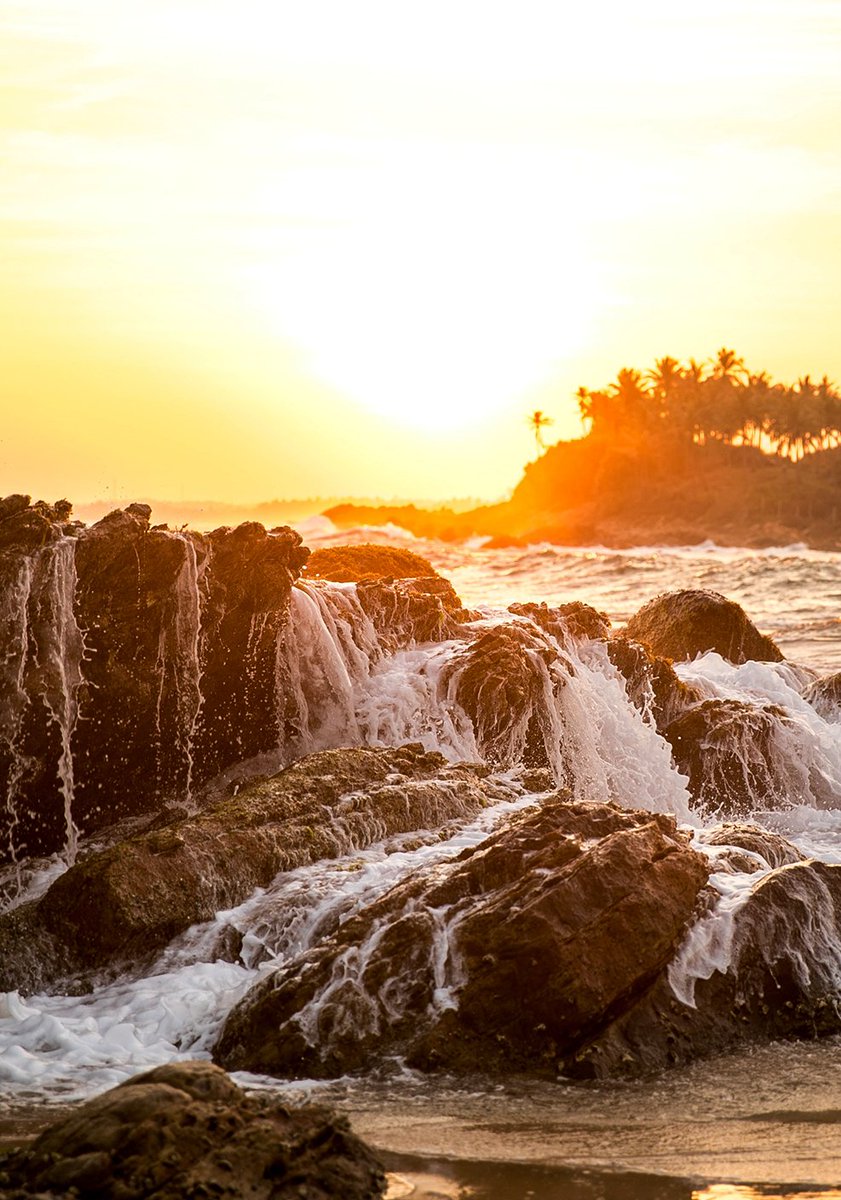 knowSLfeed's tweet photo. Dikwella, considered to be a well-kept secret for backpackers, the coastal hamlet is devoid of mass tourism, when compared to its Mirissa neighbour. More at https://t.co/p5ZROjpPNi or the KNOWSL APP.

Photo: @egle_sidaraviciute. #SriLanka #LKA #Travel #KNOWSRILANKA #KNOWSL https://t.co/6mo57NZd9I