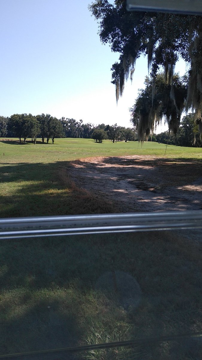 EasyGolfIssues's tweet image. 