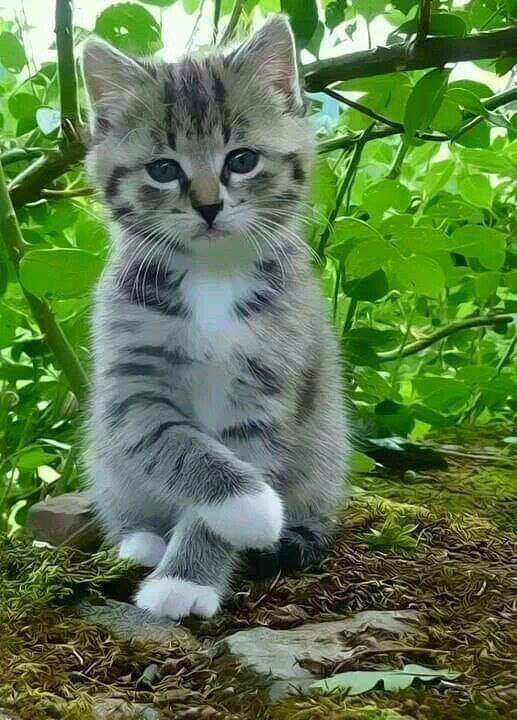 titekriss's tweet photo. ❤💜❤💜 https://t.co/hthGVyMXf6