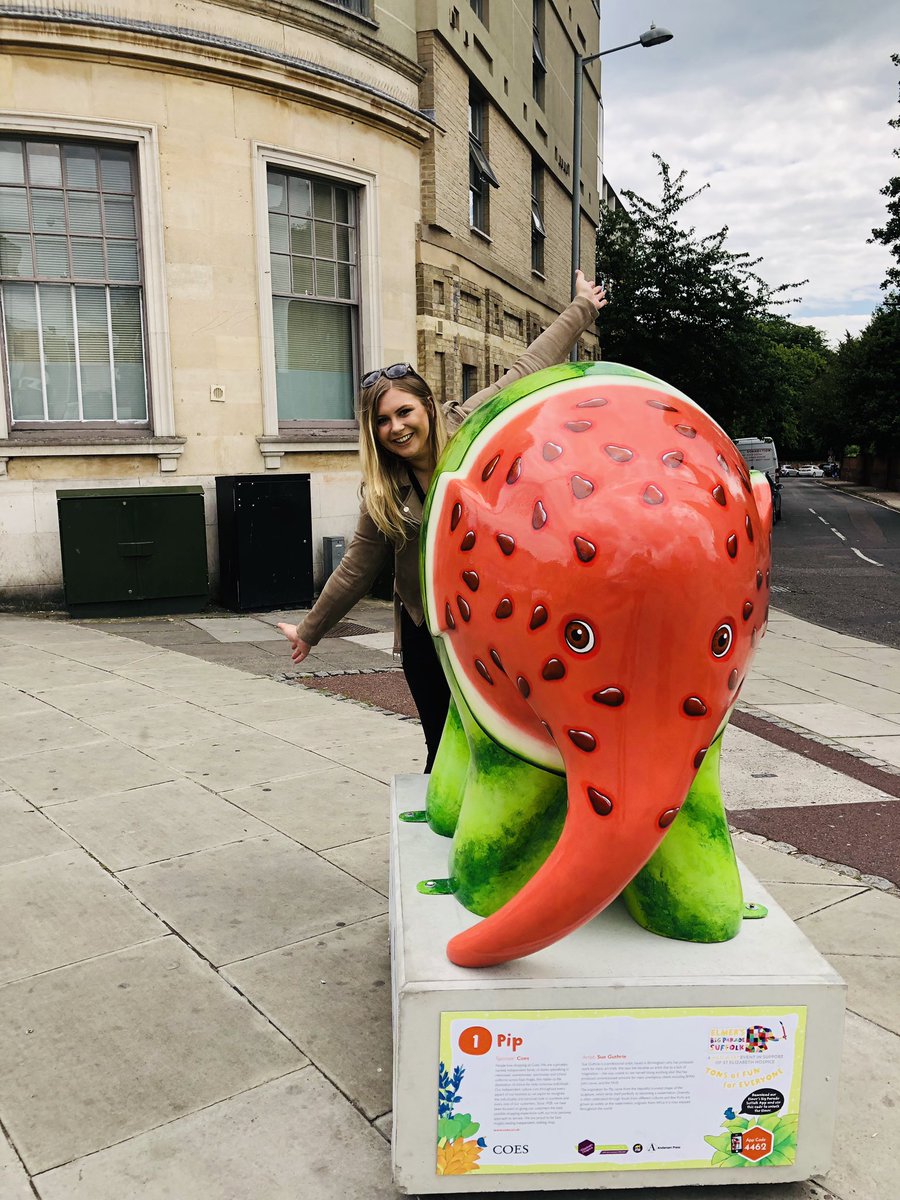 ElephantPip's tweet image. Have you Herd?? It’s #WorldElephantDay today and I’m so excited! 🎉 @ElmerSuffolk19 #elmer #elmersuffolk19 #ElephantDay #elephants