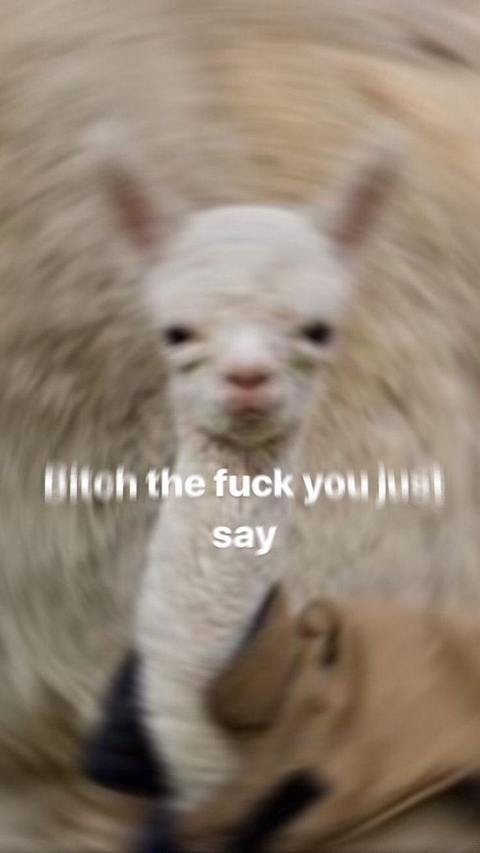|| A C C U R A T E 

hateful bnha fans : Todoroki is boring lmao kskskssksk 

us :