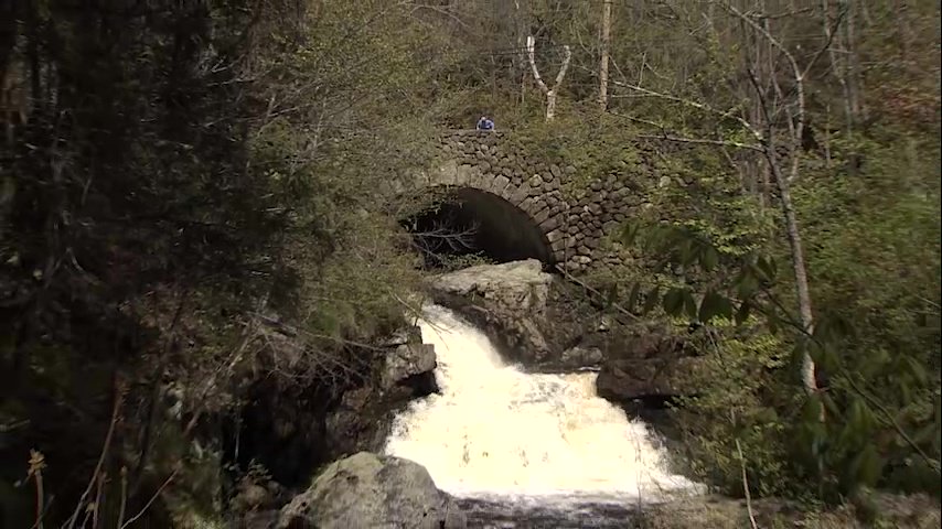 Chronicle5's tweet photo. Our old friend David Boeri took us on his favorite waterfall hike. Then he got an unwanted guest  - the dreaded black fly. #dogochasingwaterfalls @shaynaseymour @anthonyeverett 7:30 #wcvb https://t.co/eG6yK5KaFK