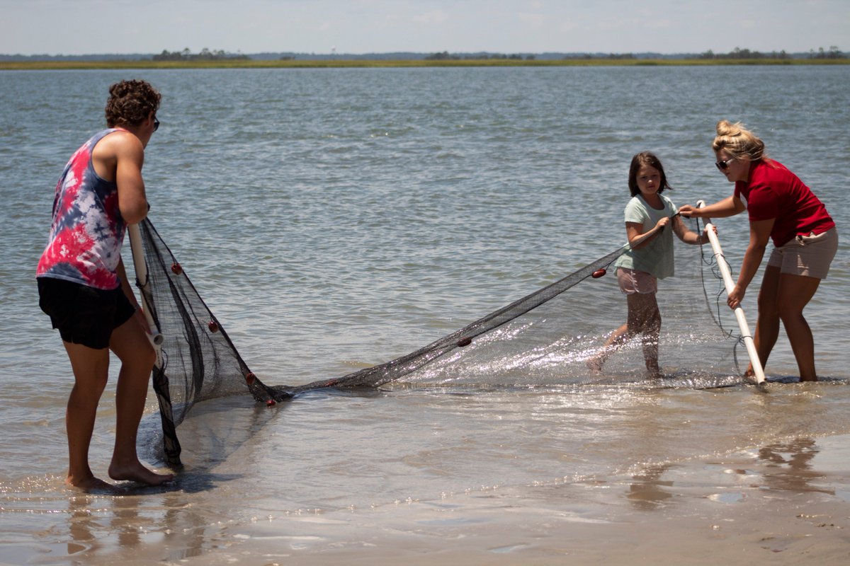 Ocean Seining anyone? Join our naturalists on the beach Tuesdays from 1-2pm to discover what's under the waves!

Call the Activity Center at (843) 838-1516 for other fun nature and social programs happening this August. 

#oceanseining #castingnets #frippisland