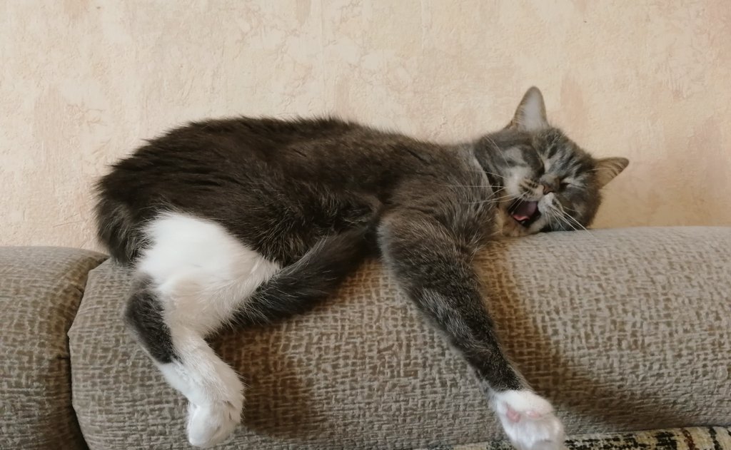 fazacula's tweet image. #добройночи