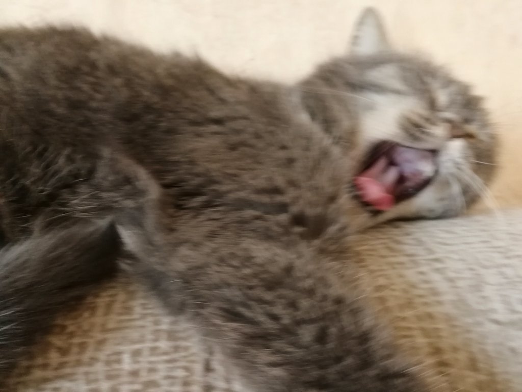 fazacula's tweet image. #добройночи