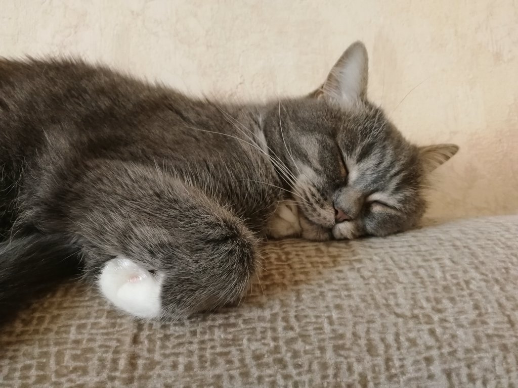 fazacula's tweet image. #добройночи