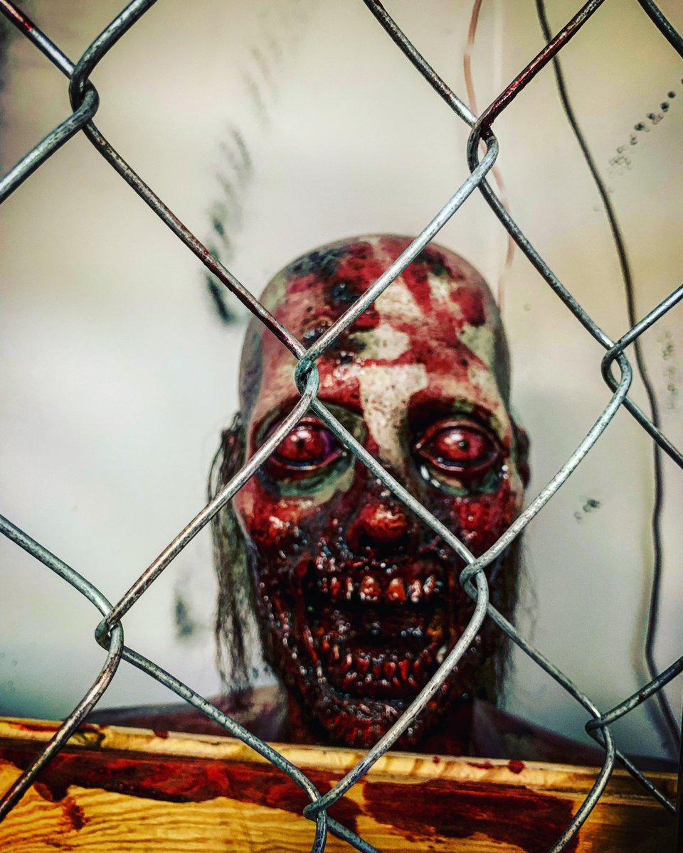 Our boss made this face upon hearing we’d reached 400 followers on IG. To celebrate, we’re offering any room at 25% off for groups of four or more! Tonight and tomorrow only! Thank you all so much!