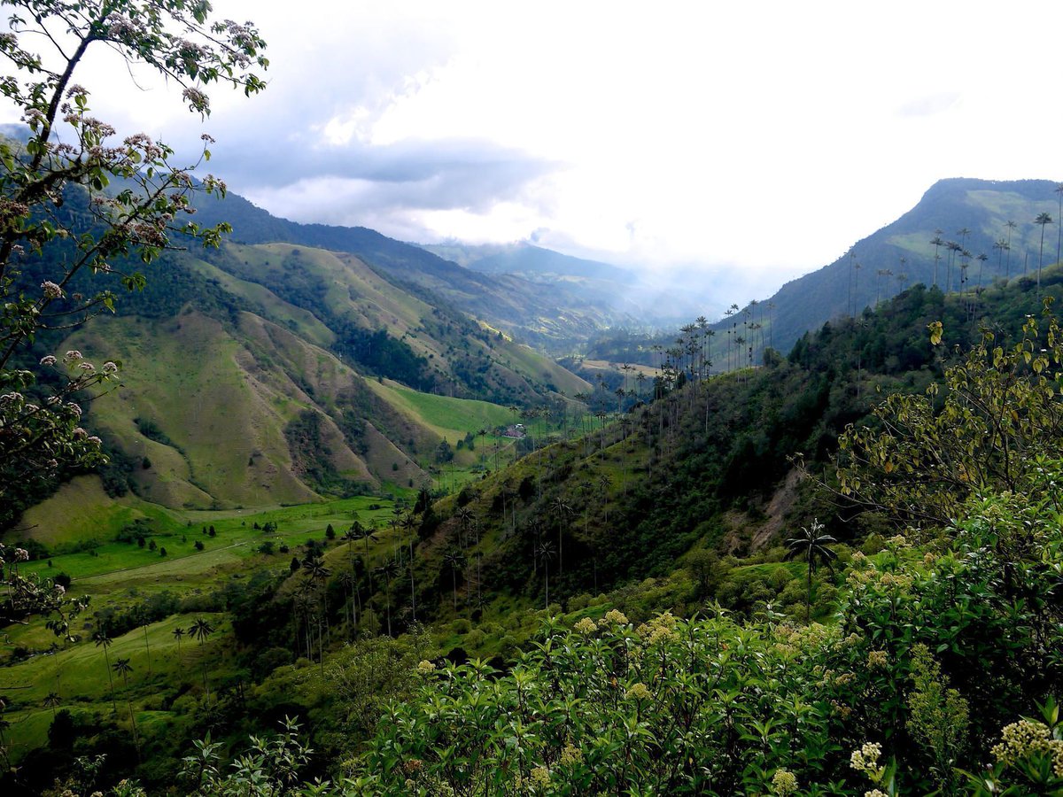 CoffeeOriginsTravel tweet media