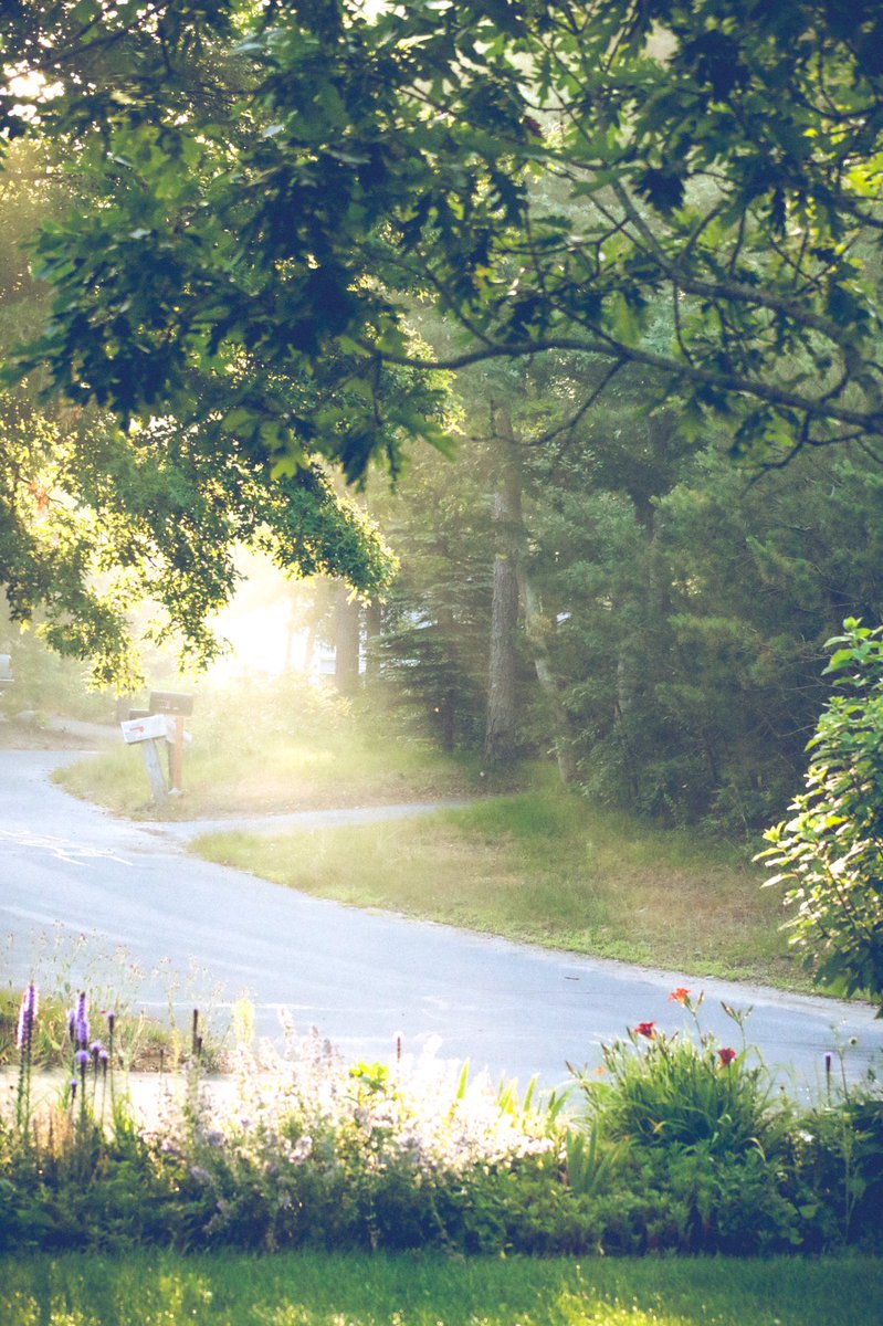 There’s something special about those early, hazy, August mornings. The light is remarkable! #lazysummerdays #augustlight #capecod #capecodliving #capecodlight