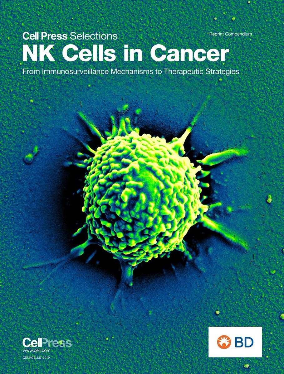 download Spirituality at Work: A Study of