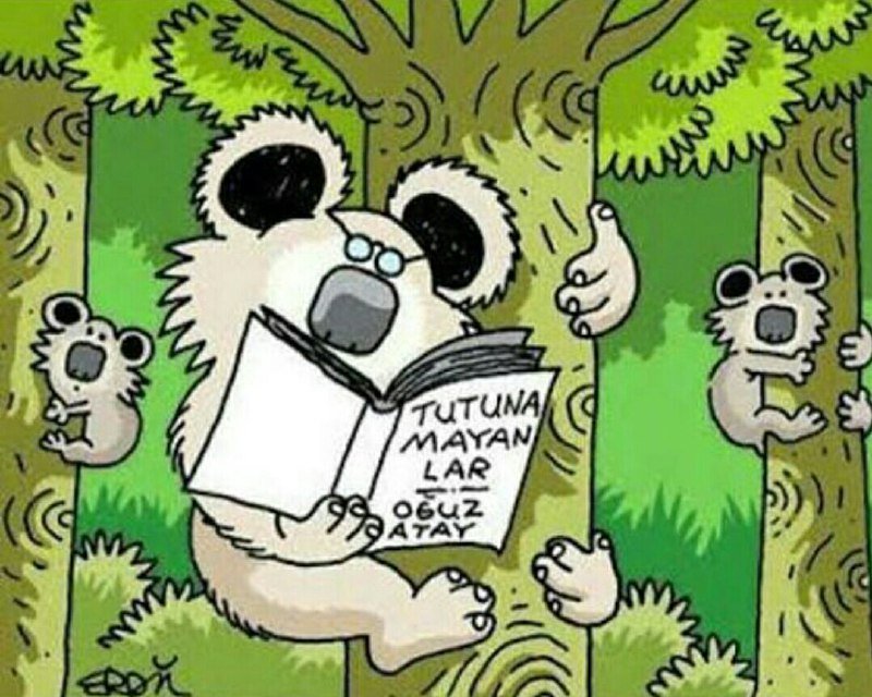 Her koalanın hayatının 10 senesinde bir okuması gereken bir roman. 

#komik #caps #tweet #karikatür #kpssً2019 #kpss #kpsstayfa #kpss2020 #uzaktaneğitim #öabt #oabt #ösym #osym #eskişehir #eskisehir #yks #sınav #stres #ders #komiksözler #ankara #istanbul #bursa #sakarya #türkiye