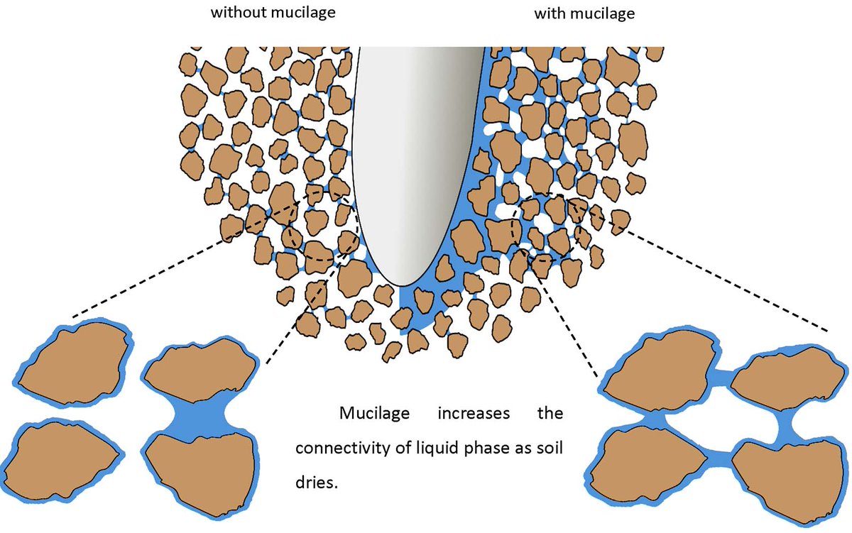 Unexplained Infertility: Pathophysiology, Evaluation