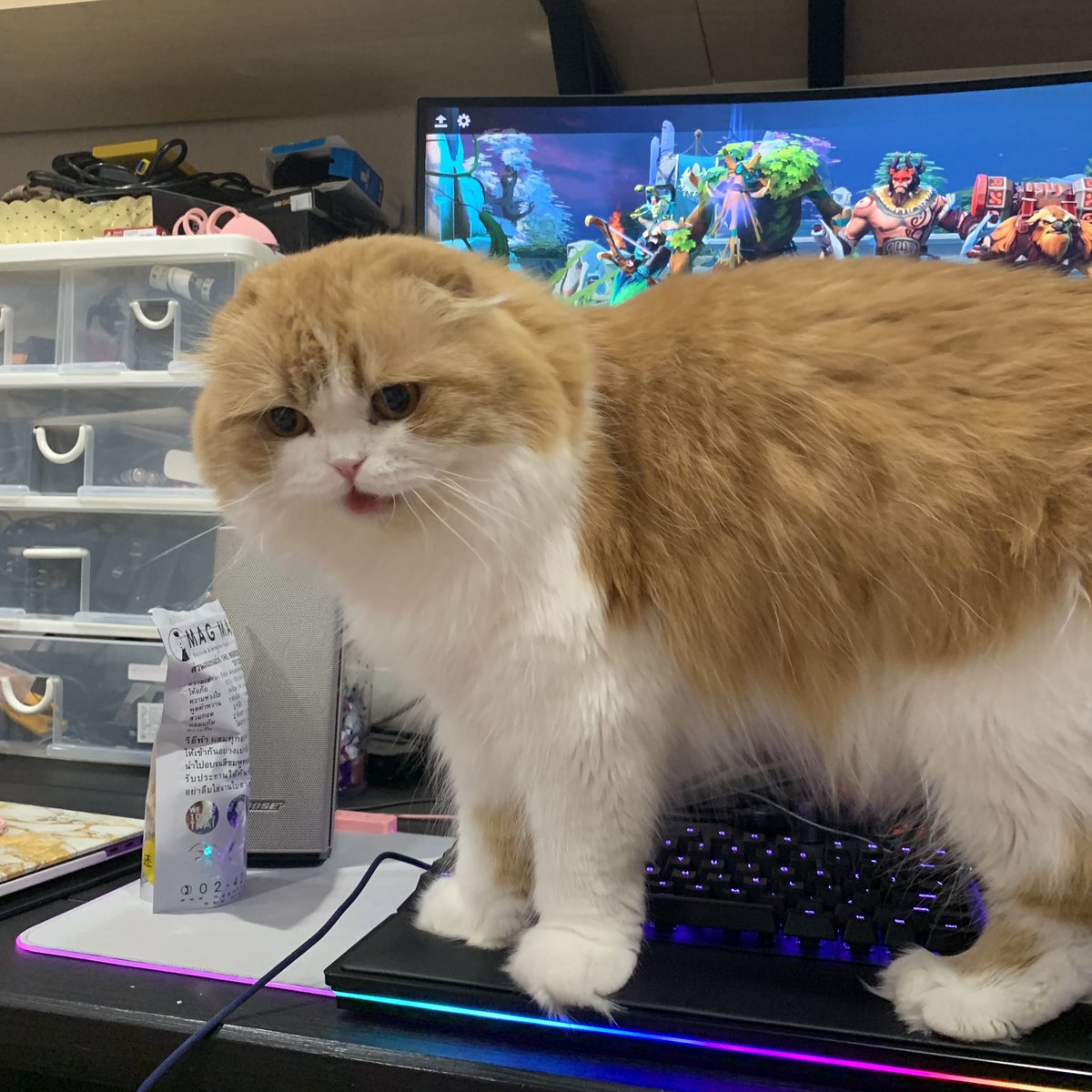 𓂋 ⌗🥛น้องไอดอ🏸⟢ tweet media